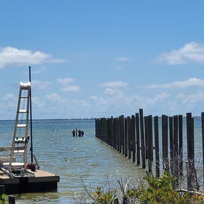 Dock Piling Installation